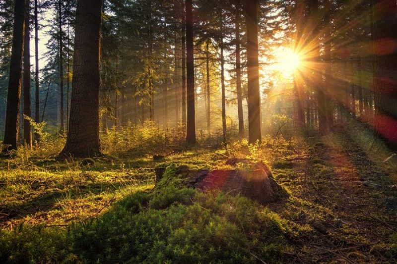 День архитектора и следователя 2020: какой сегодня праздник 1 июля