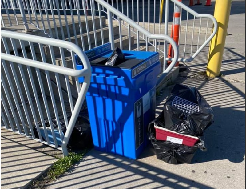 Десятки цуценят загинули в літаку МАУ по дорозі в Канаду