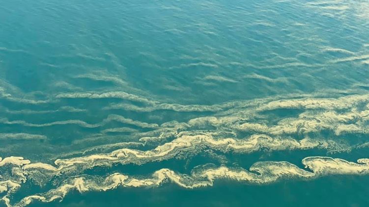 Одесса, море Одесса, море