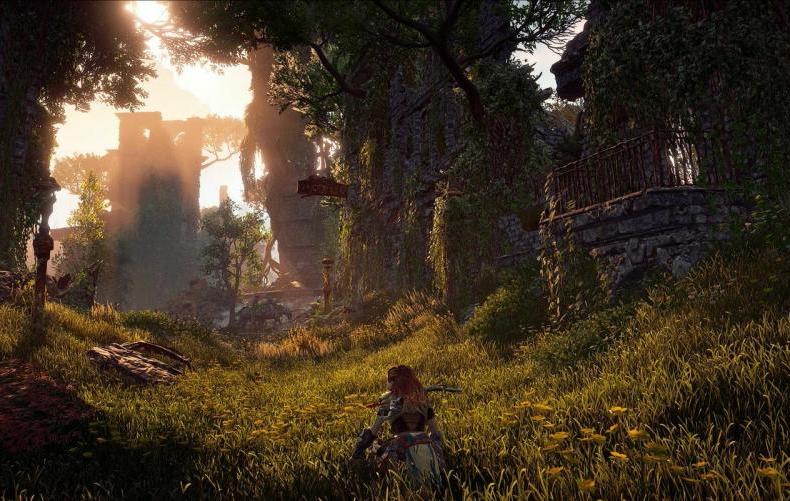 Horizon Zero Dawn Horizon Zero Dawn