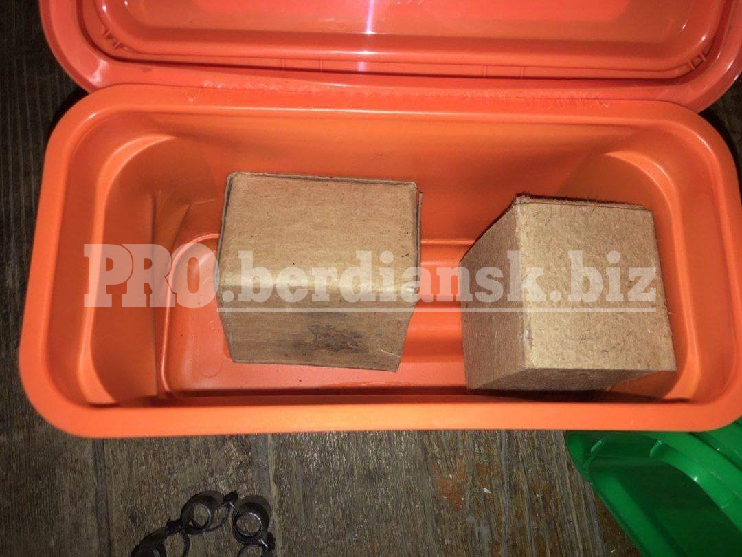 П'яний чоловік відкрив вогонь по дітях в Бердянську