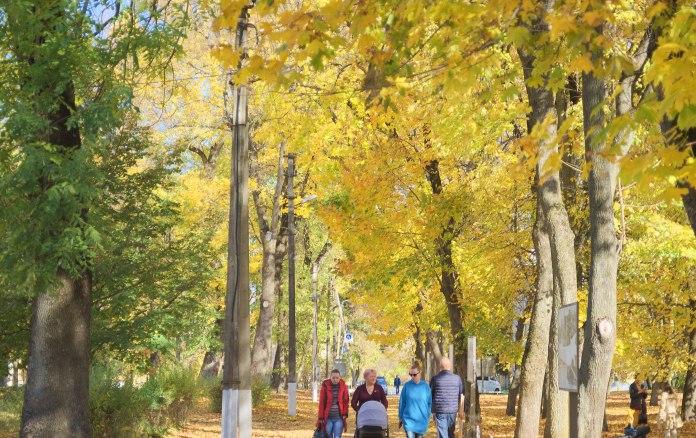осень,Украина осень,Украина