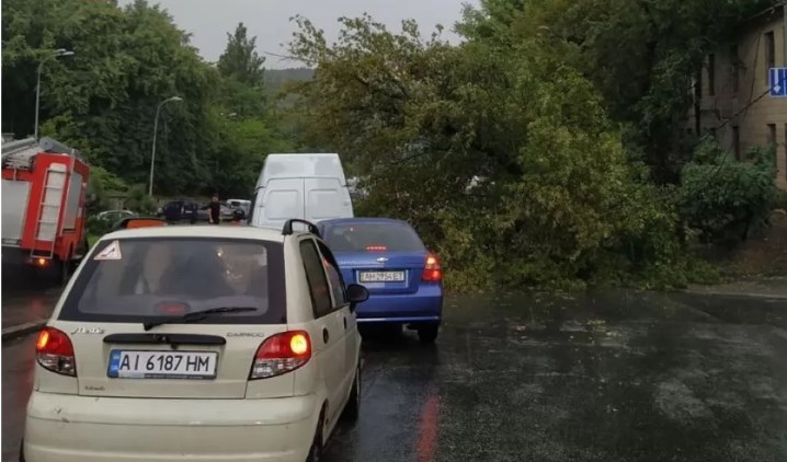 дерево упало на машину дерево упало на машину