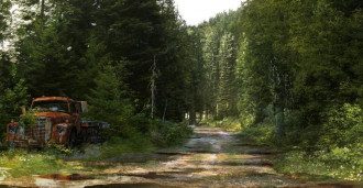 Арт Last of Us 2