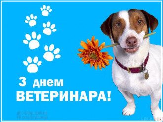 День ветеринара - листівки і привітання прикольні і смішні День ветеринара - листівки і привітання прикольні і смішні