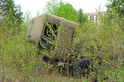 Вимирання Вимирання