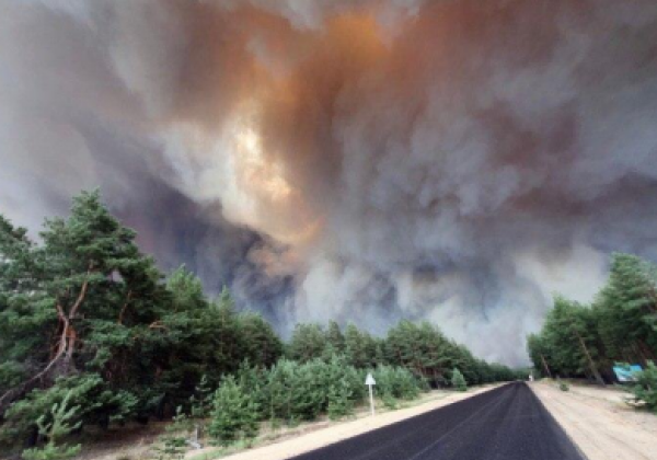 Частину Луганщини охопив вогонь: згоріло понад 100 будинків, є жертви