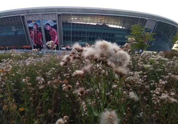 Донбас Арена знаходиться в жахливому стані: оприлюднені фото