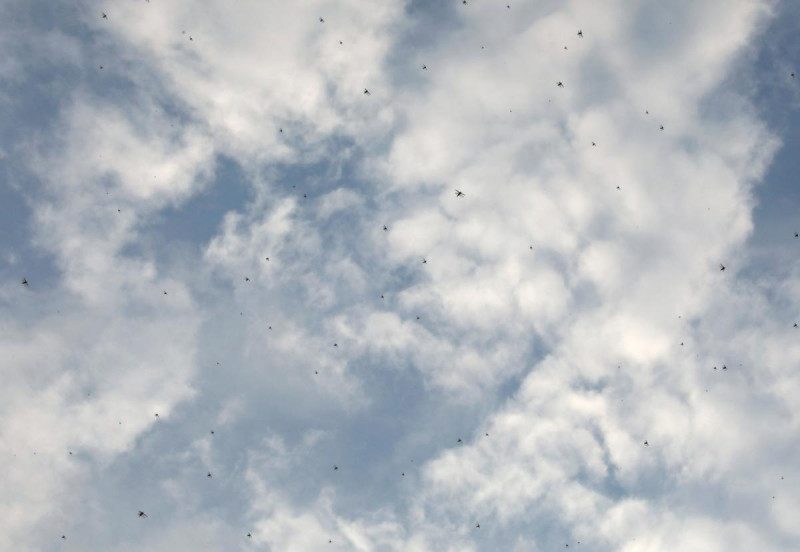 Гороскоп всіх знаків Зодіаку на 4 липня: кому берегти себе