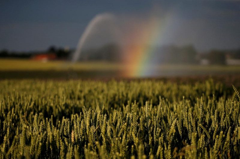 Кількість вакансій для аграріїв різко зросла: скільки готові платити