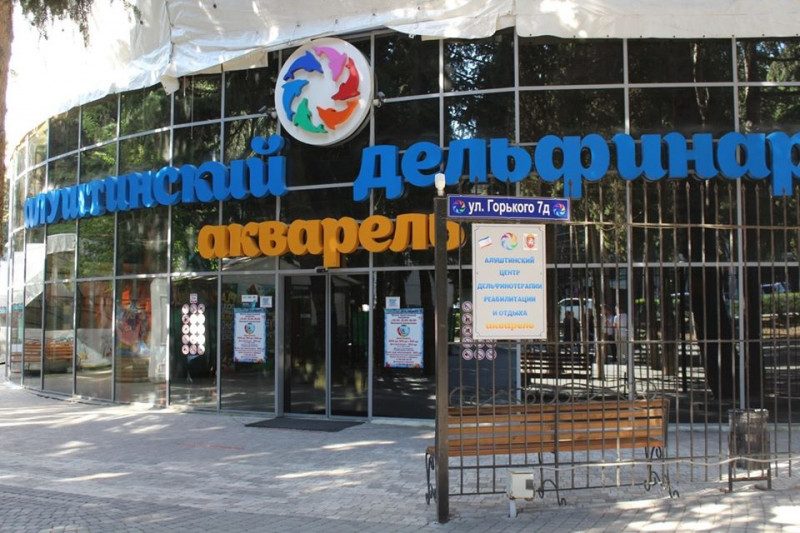 В дельфинарии Алушты расчленили дельфина