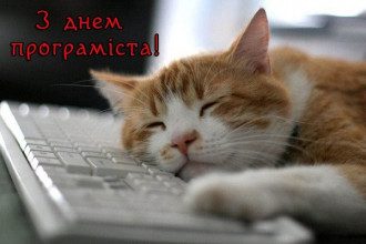 День програміста - прикольні картинки і привітання З Днем програміста