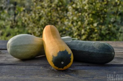 Кабачки можно готовить с сыром дорблю – Жареные кабачки