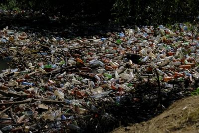 "Нехай приберуть власне лайно": в Мережі обурилися забрудненій пляшками річці на Закарпатті