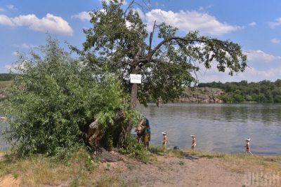 Под Запорожьем ввели карантин из-за моли – Новости Запорожья 