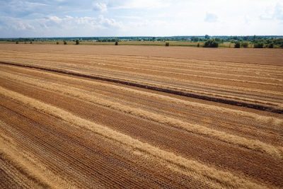 Суд не позволил рейдерам безосновательно арестовать имущество "Агроинвест Холдинга", – сообщение компании