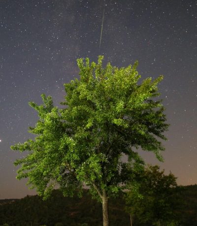 Поддержка высших сил светит одному знаку Зодиака – Гороскоп на сегодня 15 августа 2020 года