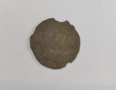 На Житомирщине найден клад национального значения – Новости Житомира сегодня На Житомирщине найден клад национального значения – Новости Житомира сегодня