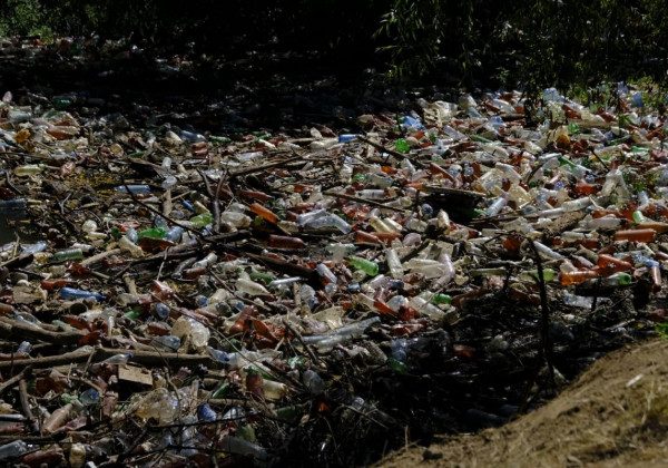 "Нехай приберуть власне лайно": в Мережі обурилися забрудненій пляшками річці на Закарпатті