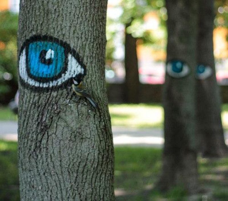 Ученые рассказали, как связан цвет глаз и тяга к алкоголизму