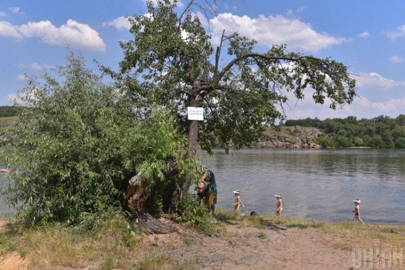 Под Запорожьем введен карантин из-за "атаки" насекомых