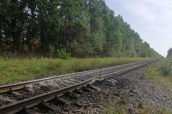 У Житомирській області під поїздом, який їхав з Білорусі, підірвали колію