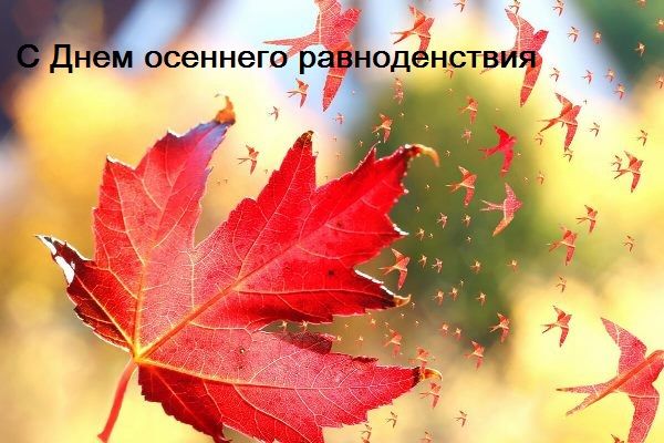Картинка с Днем осеннего равноденствия - Осень картинки - Осеннее равноденствие открытки Картинка с Днем осеннего равноденствия - Осень картинки - Осеннее равноденствие открытки
