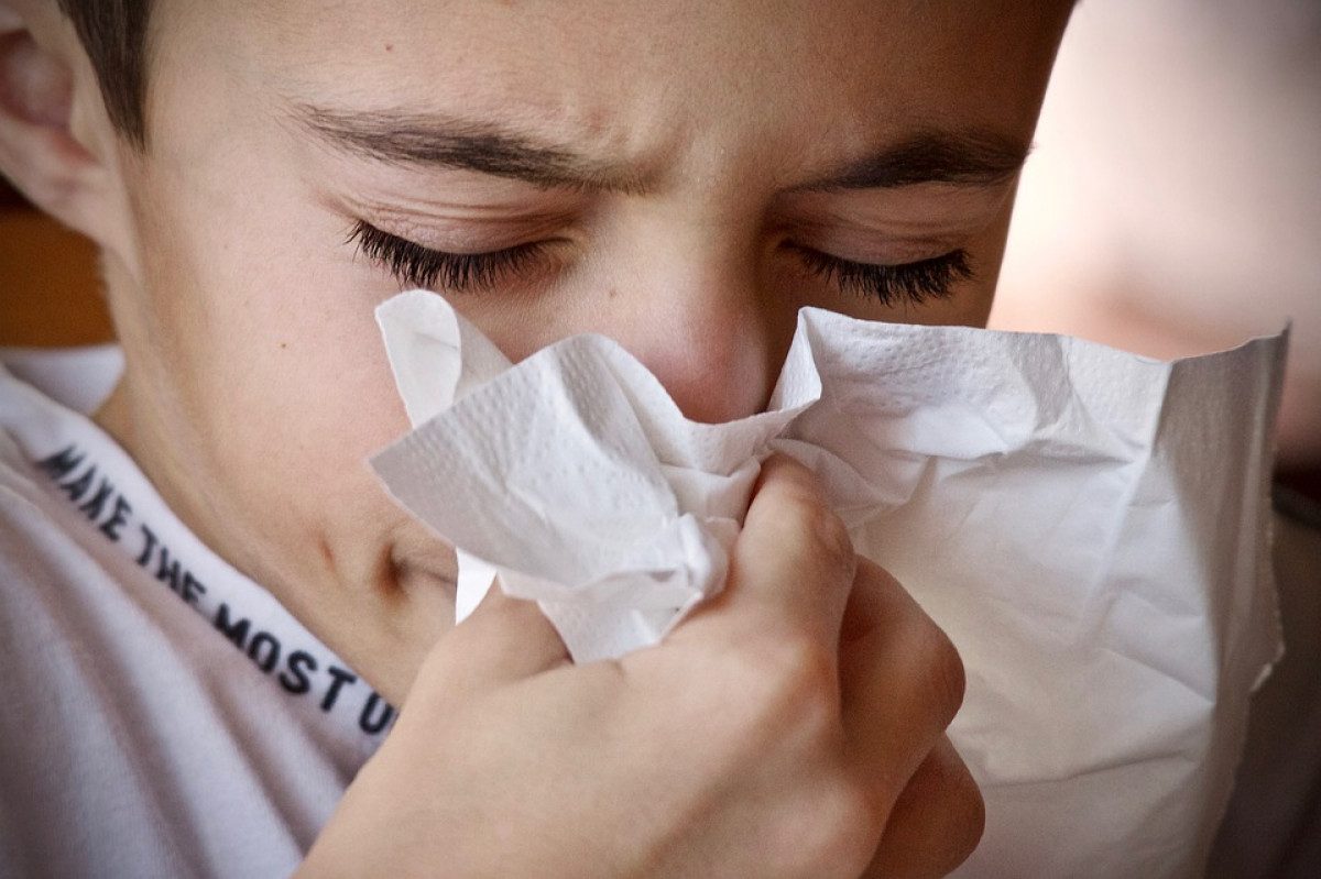 Прогноз ВОЗ: какие штаммы гриппа будут циркулировать в Украине