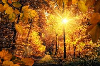 осень_природа_солнце_осеннее рівнодення осень_природа_солнце_осеннее рівнодення