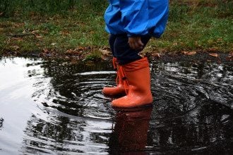 погода, осінь, дощ погода, осінь, дощ