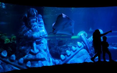 Гороскоп всіх знаків Зодіаку на 6 вересня: кому відкриються нові горизонти