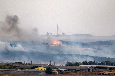 В Донецкой области сгорели гектары леса (фото, видео)
