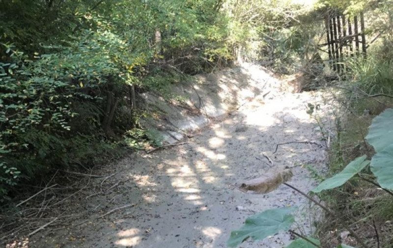 "Происходит что-то страшное": в Крыму пересохла река, питавшая водохранилище