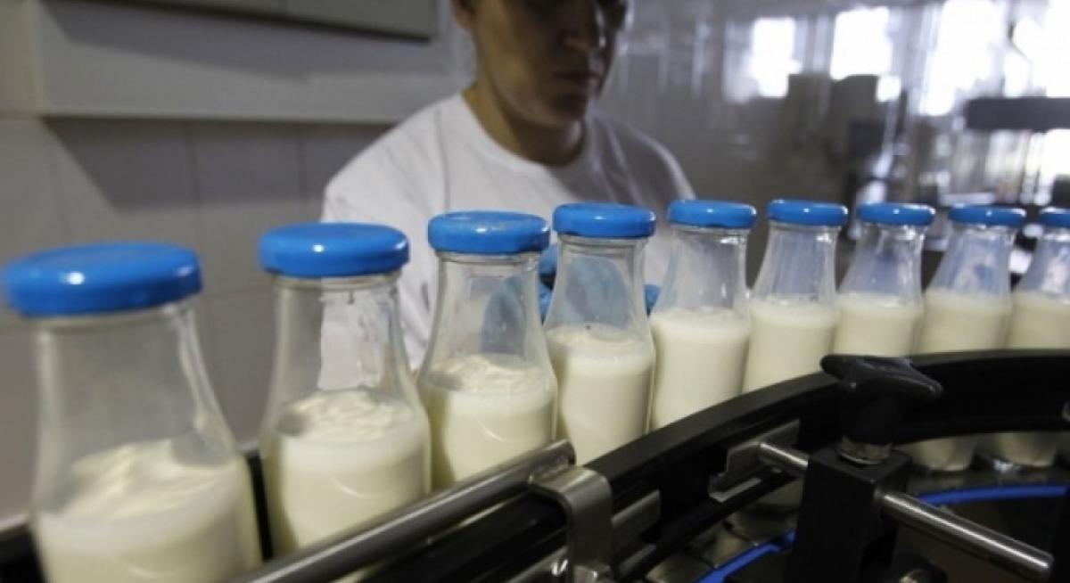 Гастроэнтеролог рассказал, какие проблемы с организмом может спровоцировать молоко
