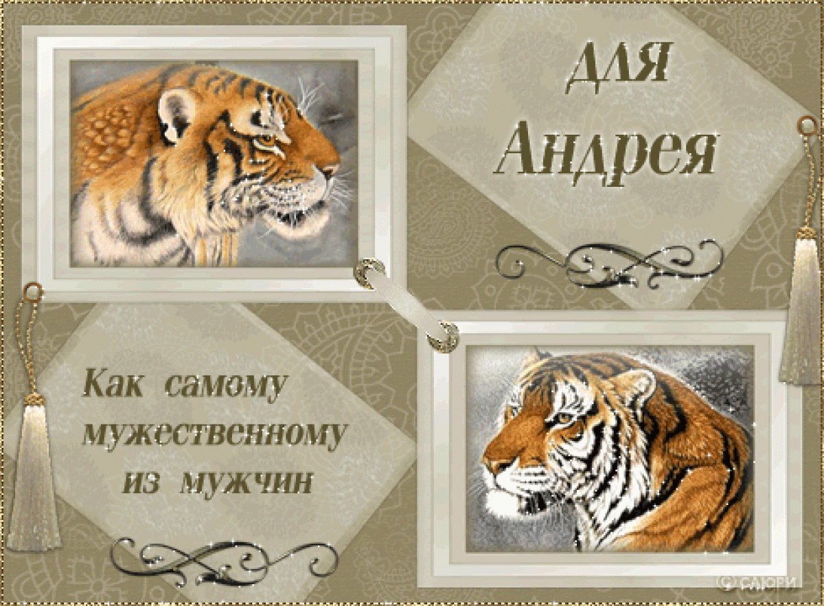 С Юбилеем Андрей Картинки