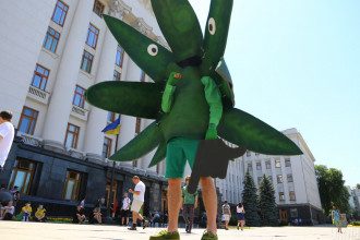Каннабіс Каннабіс