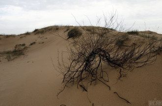 Балабух спрогнозировала, что Украину не поглотят Олешковские пески – Украина пустыня Балабух спрогнозировала, что Украину не поглотят Олешковские пески – Украина пустыня