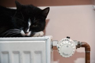 Кот, отопление