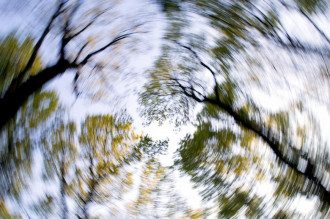 1603271261-8556.jpg 1603271261-8556.jpg