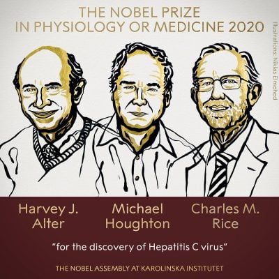 Нобелевская премия по медицине 2020 - за что дали и почему это важно Нобелевская премия по медицине 2020 - за что дали и почему это важно