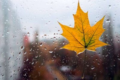 Погода в Украине значительно испортится / pixbay.com