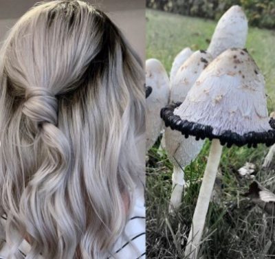 Грибний блонд - наймодніше фарбування волосся 2020-2021: фото