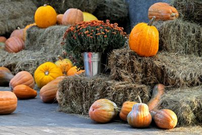 У столиці на свято прогнозується похолодання