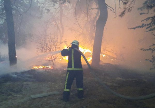 Пожежі на Луганщині: вогонь накрив уже 13 тисяч гектарів