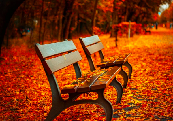 Поки що до +22 градусів: коли закінчиться тепло і повернуться дощі