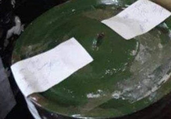 Бюлетені в каструлі, душ з кави і динозаври-агітатори: які несподівані курйози сталися на виборах-2020