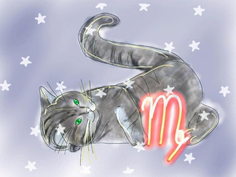 Удача во всем и везде: что обещает гороскоп Скорпиону в июне 2021