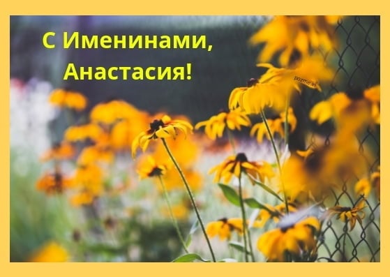 картинки с днем Анастасии - с именинами анастасия картинки с днем Анастасии - с именинами анастасия