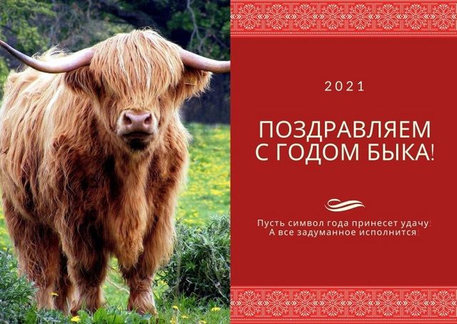 Прикольные открытки с Новым годом – новогодние открытки 2021
