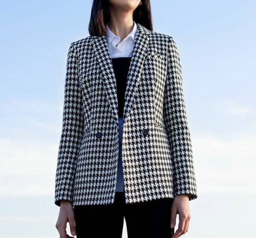 Модний принт гусача лапка 2002